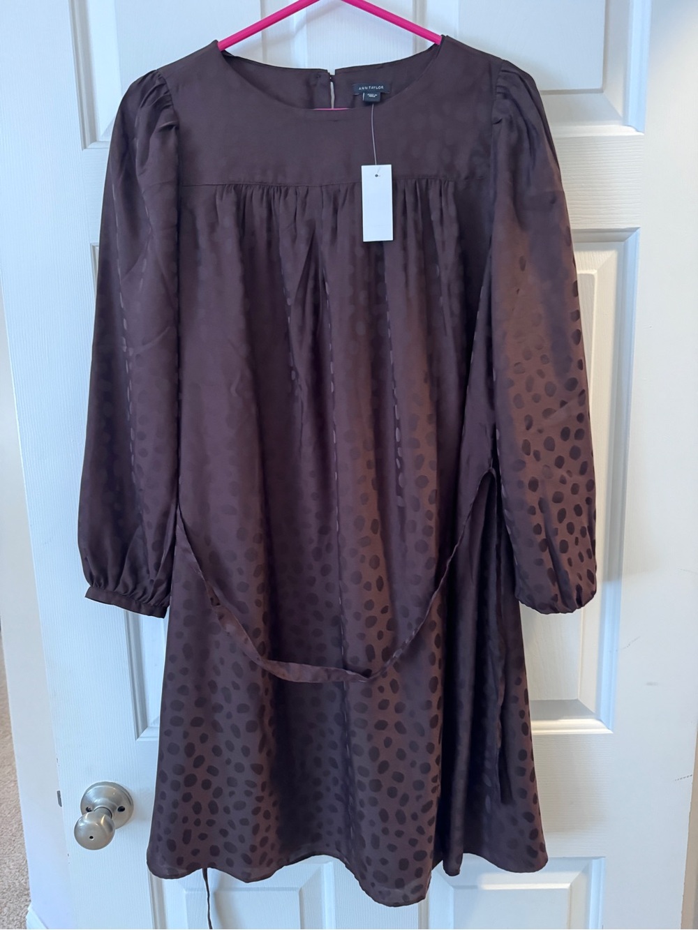 Ann Taylor Dark Brown Long Sleeve Belted Dress - Picture 2 of 4